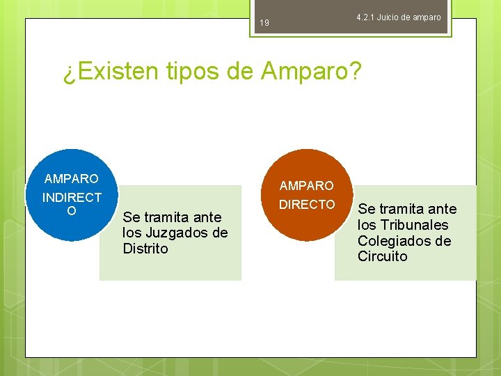 4. 2. 1 Juicio de amparo 19 ¿Existen tipos de Amparo? AMPARO INDIRECT O