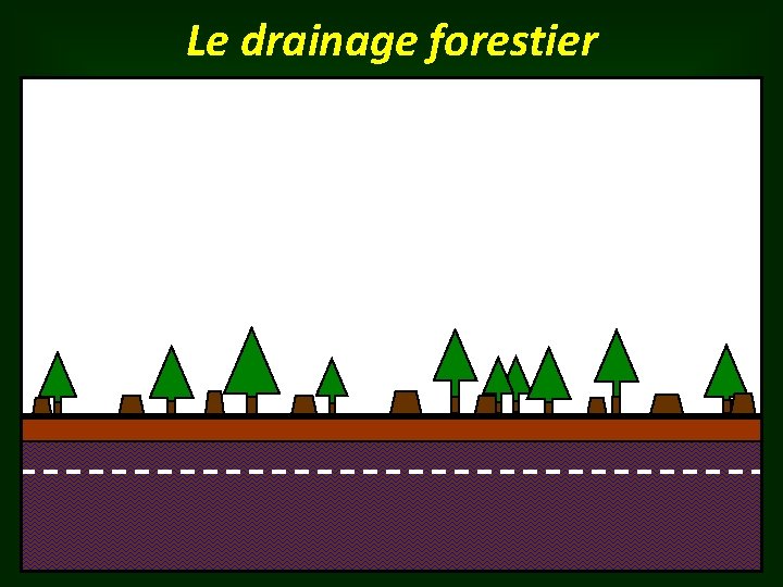 Le drainage forestier 