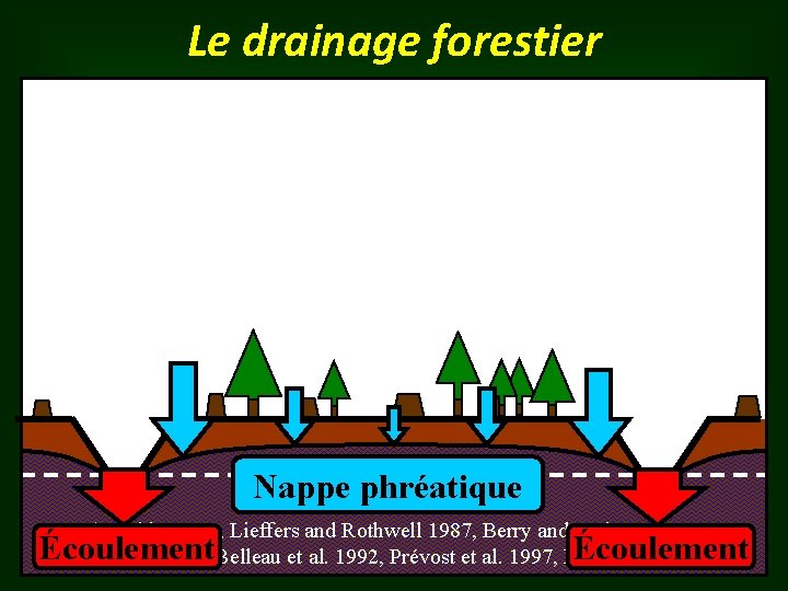 Le drainage forestier Nappe phréatique (Braekke 1983, Lieffers and Rothwell 1987, Berry and Jeglum