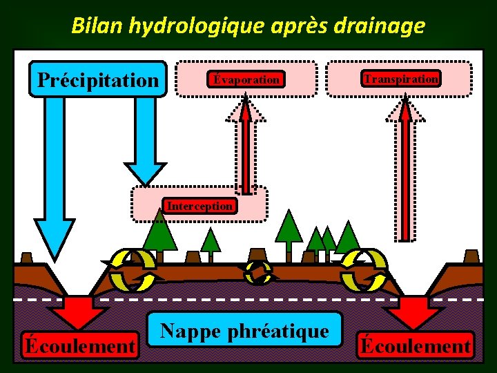 Bilan hydrologique après drainage Précipitation Évaporation Transpiration Interception Écoulement Nappe phréatique Écoulement 