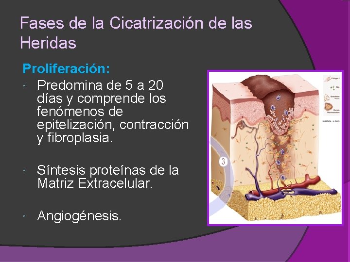 UNIVERSIDAD NACIONAL EXPERIMENTAL FRANCISCO DE MIRANDA PROGRAMA MEDICINA