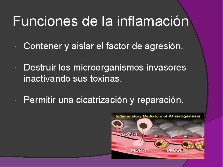 Funciones de la inflamación Contener y aislar el factor de agresión. Destruir los microorganismos Funciones de la inflamación Contener y aislar el factor de agresión. Destruir los microorganismos