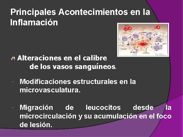 Principales Acontecimientos en la Inflamación Alteraciones en el calibre de los vasos sanguíneos. Modificaciones Principales Acontecimientos en la Inflamación Alteraciones en el calibre de los vasos sanguíneos. Modificaciones