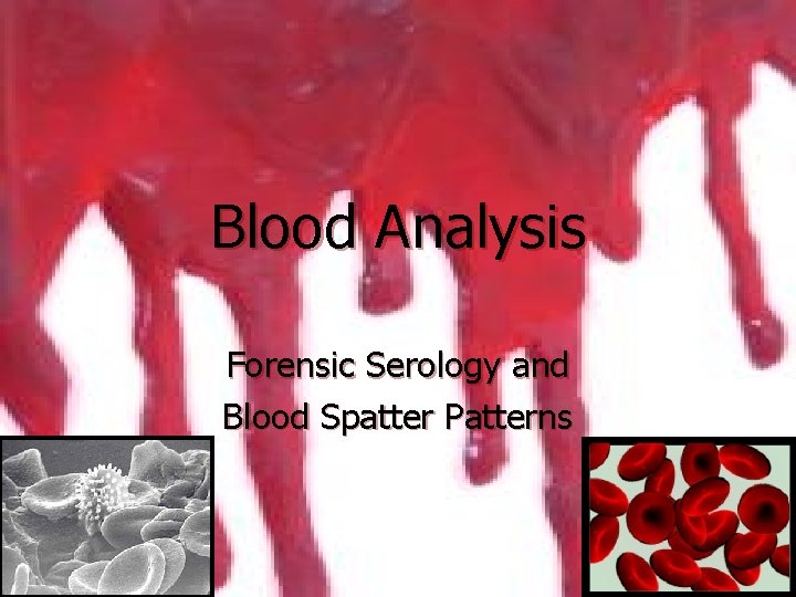 Blood Analysis Forensic Serology and Blood Spatter Patterns 