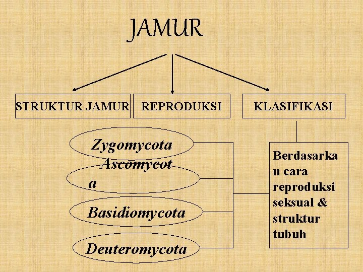 JAMUR STRUKTUR JAMUR REPRODUKSI Zygomycota Ascomycot a Basidiomycota Deuteromycota KLASIFIKASI Berdasarka n cara reproduksi