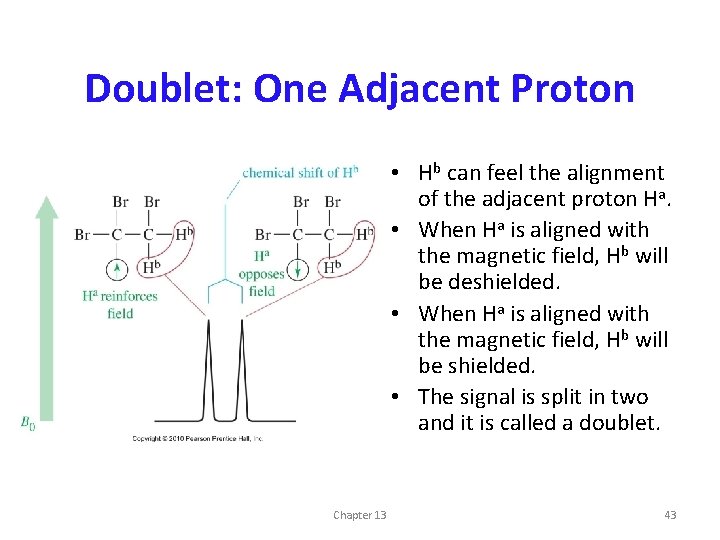 Doublet: One Adjacent Proton • Hb can feel the alignment of the adjacent proton