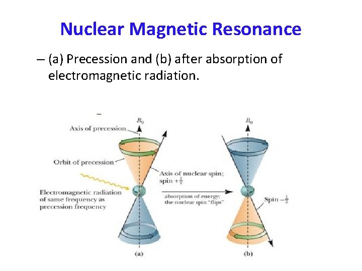 Nuclear Magnetic Resonance – (a) Precession and (b) after absorption of electromagnetic radiation. 