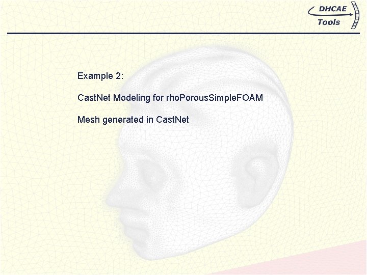 Example 2: Cast. Net Modeling for rho. Porous. Simple. FOAM Mesh generated in Cast.