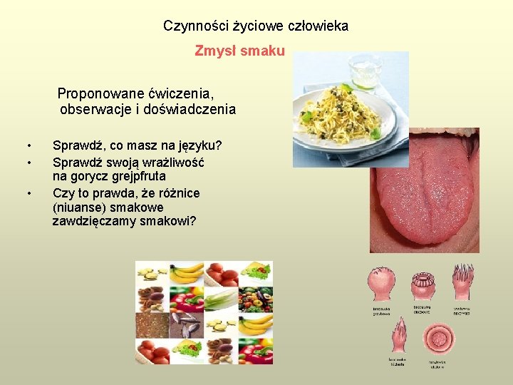 Czynności życiowe człowieka Zmysł smaku Proponowane ćwiczenia, obserwacje i doświadczenia • • • Sprawdź,