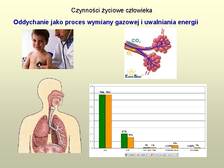 Czynności życiowe człowieka Oddychanie jako proces wymiany gazowej i uwalniania energii 