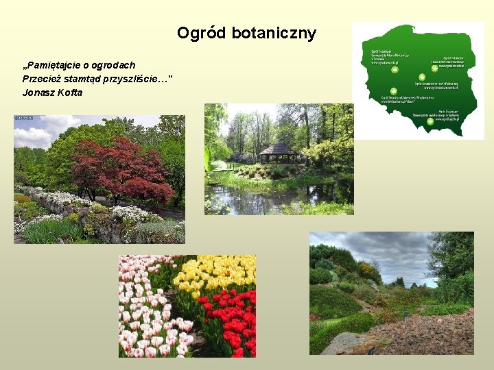 Ogród botaniczny „Pamiętajcie o ogrodach Przecież stamtąd przyszliście…” Jonasz Kofta 