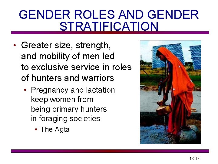 GENDER ROLES AND GENDER STRATIFICATION • Greater size, strength, and mobility of men led