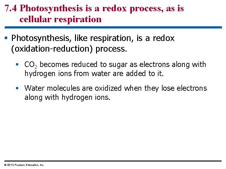 7. 4 Photosynthesis is a redox process, as is cellular respiration § Photosynthesis, like