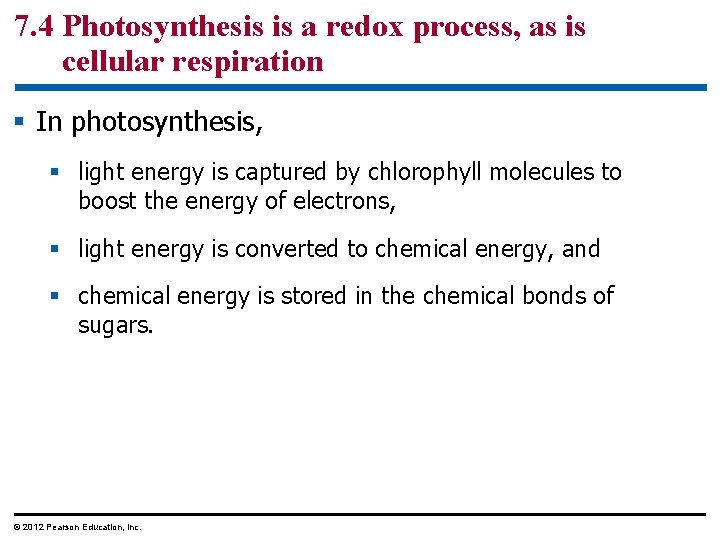 7. 4 Photosynthesis is a redox process, as is cellular respiration § In photosynthesis,