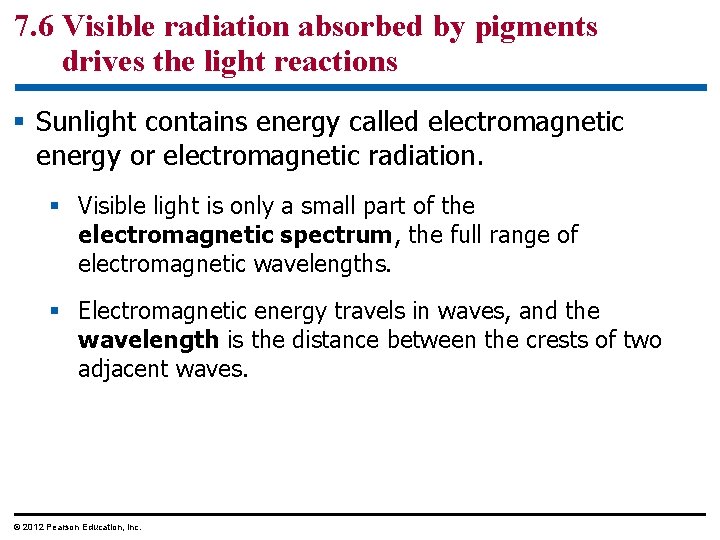 7. 6 Visible radiation absorbed by pigments drives the light reactions § Sunlight contains