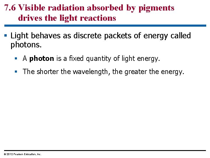 7. 6 Visible radiation absorbed by pigments drives the light reactions § Light behaves