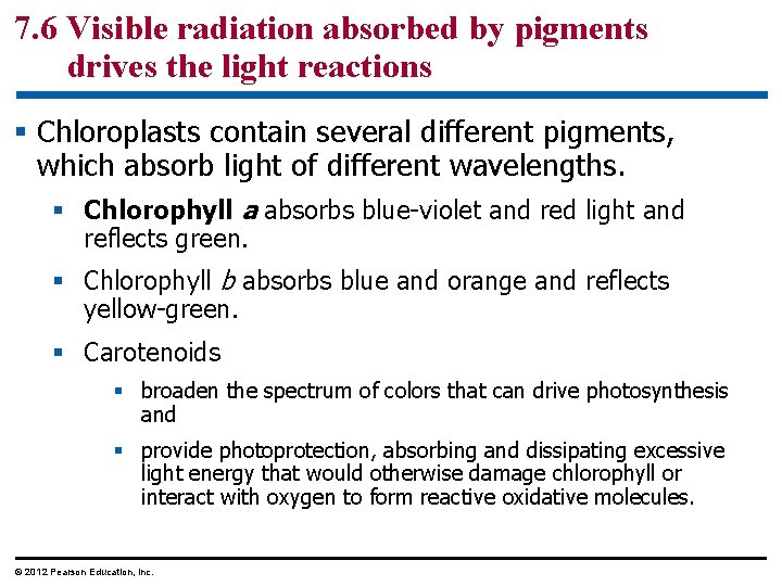 7. 6 Visible radiation absorbed by pigments drives the light reactions § Chloroplasts contain