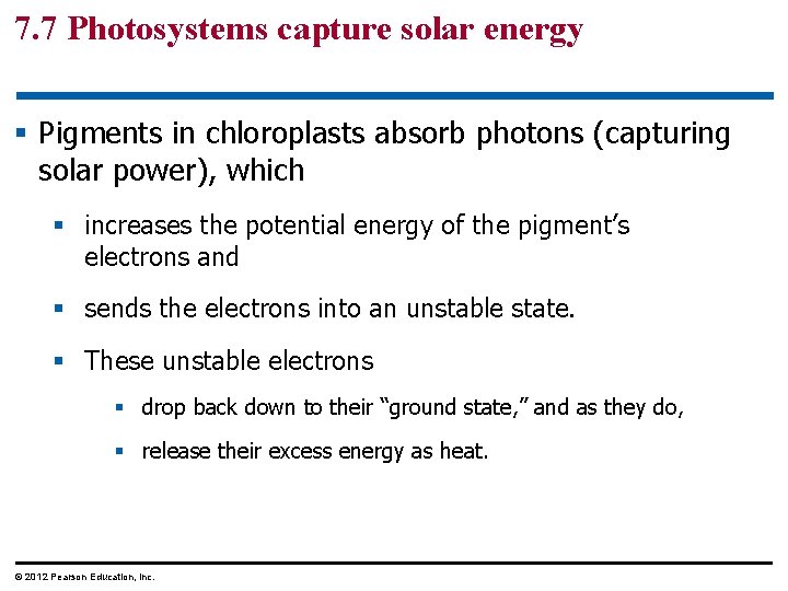 7. 7 Photosystems capture solar energy § Pigments in chloroplasts absorb photons (capturing solar