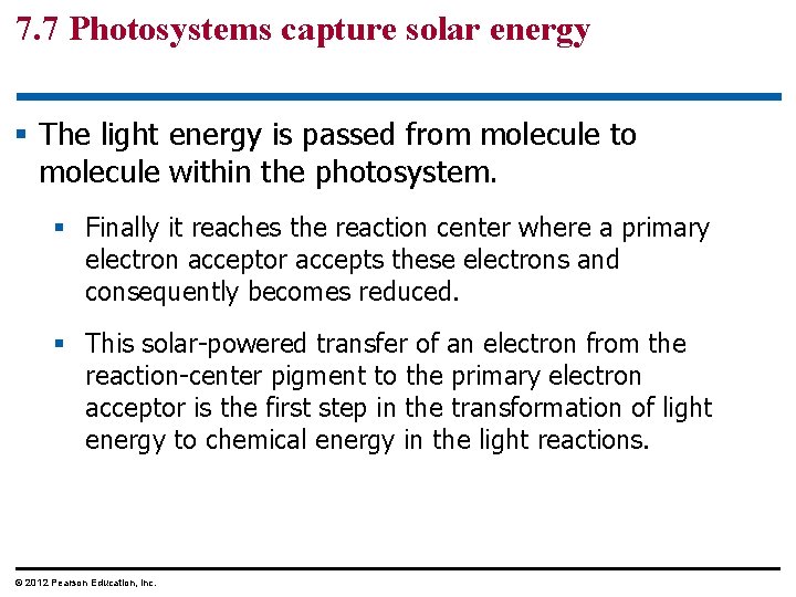 7. 7 Photosystems capture solar energy § The light energy is passed from molecule