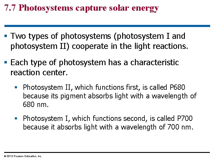 7. 7 Photosystems capture solar energy § Two types of photosystems (photosystem I and