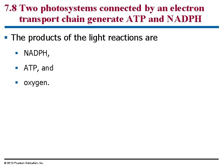 7. 8 Two photosystems connected by an electron transport chain generate ATP and NADPH