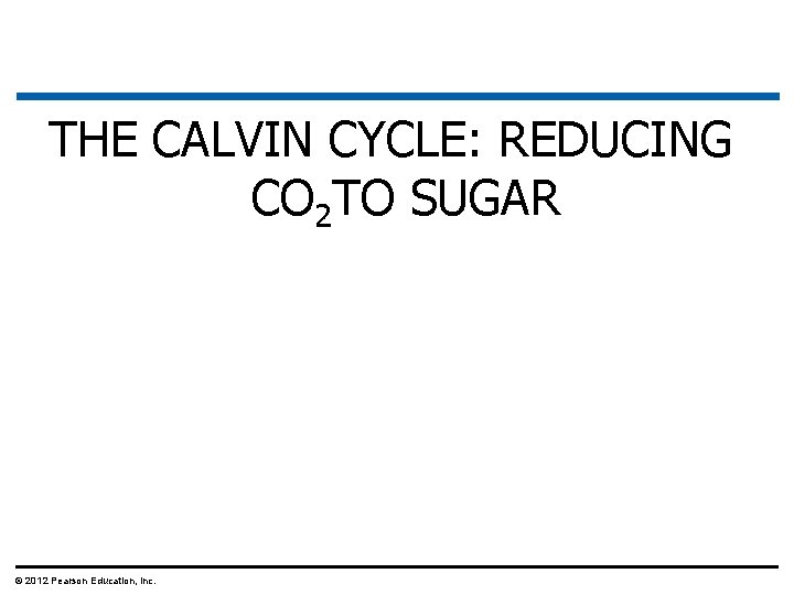 THE CALVIN CYCLE: REDUCING CO 2 TO SUGAR © 2012 Pearson Education, Inc. 