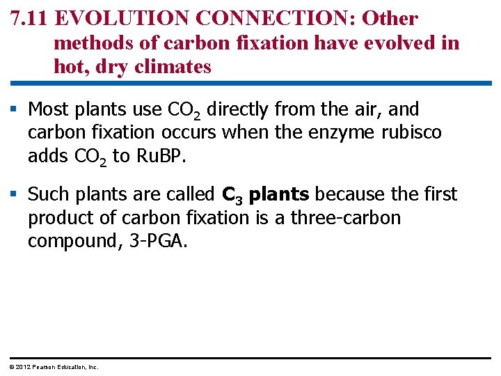 7. 11 EVOLUTION CONNECTION: Other methods of carbon fixation have evolved in hot, dry