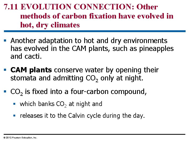 7. 11 EVOLUTION CONNECTION: Other methods of carbon fixation have evolved in hot, dry