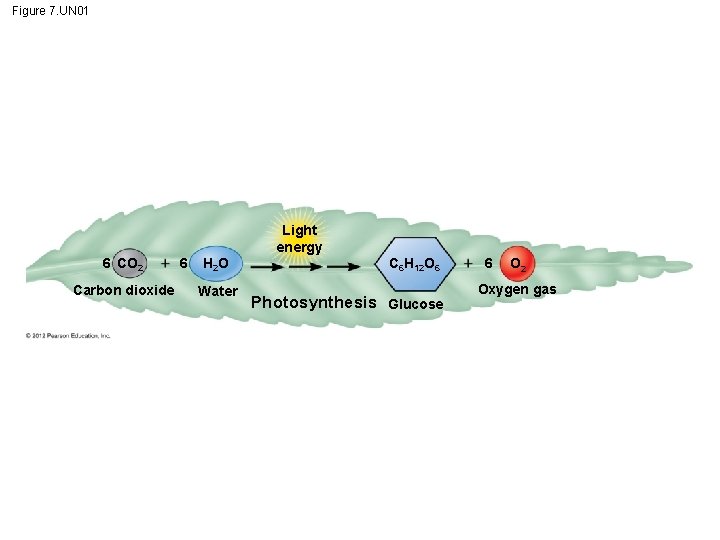 Figure 7. UN 01 Light energy 6 CO 2 Carbon dioxide 6 H 2