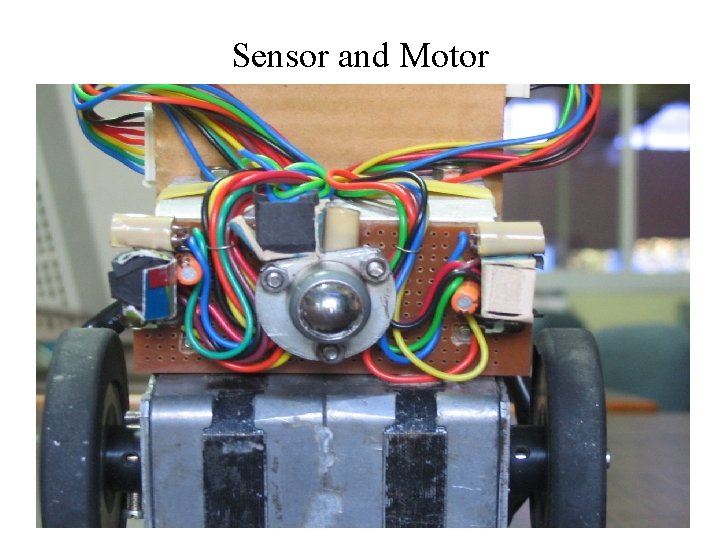 Sensor and Motor 