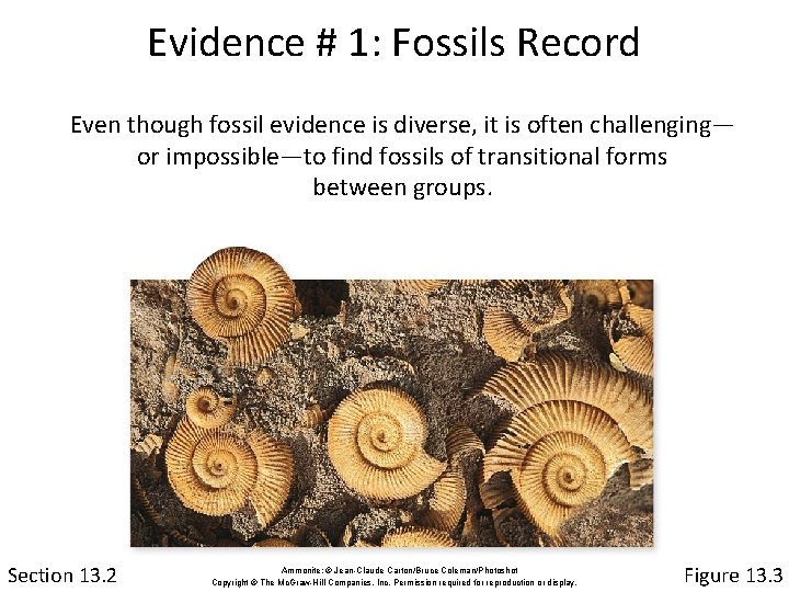 Evidence # 1: Fossils Record Even though fossil evidence is diverse, it is often