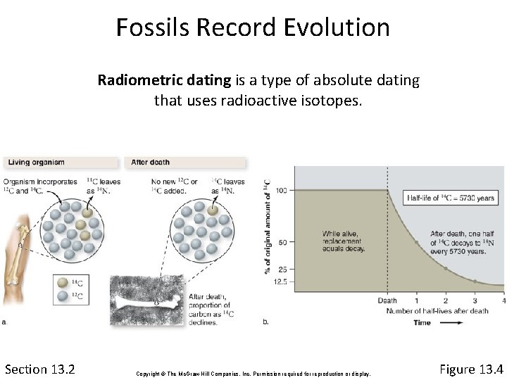 Fossils Record Evolution Radiometric dating is a type of absolute dating that uses radioactive