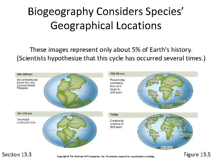 Biogeography Considers Species’ Geographical Locations These images represent only about 5% of Earth’s history.