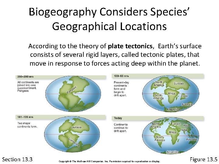 Biogeography Considers Species’ Geographical Locations According to theory of plate tectonics, Earth’s surface consists