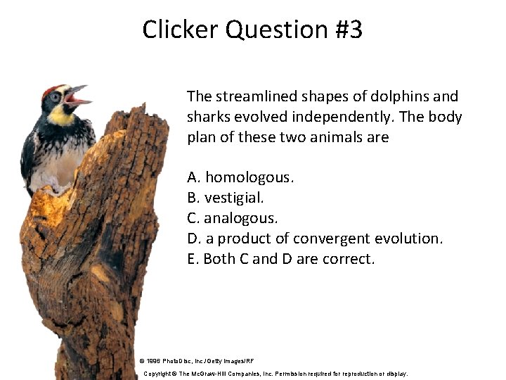 Clicker Question #3 The streamlined shapes of dolphins and sharks evolved independently. The body