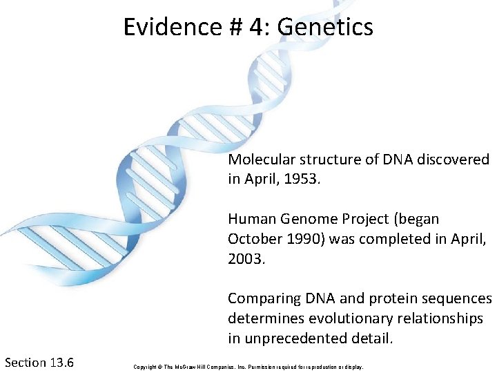 Evidence # 4: Genetics Molecular structure of DNA discovered in April, 1953. Human Genome