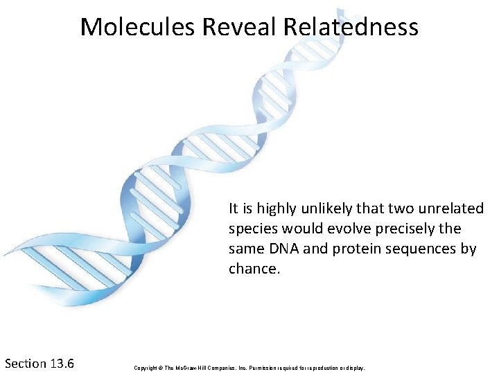 Molecules Reveal Relatedness It is highly unlikely that two unrelated species would evolve precisely