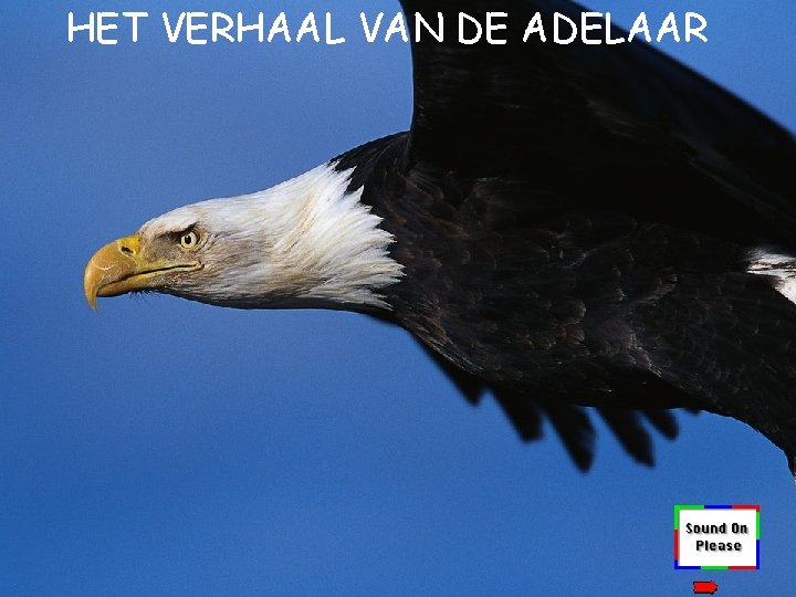 HET VERHAAL VAN DE ADELAAR 