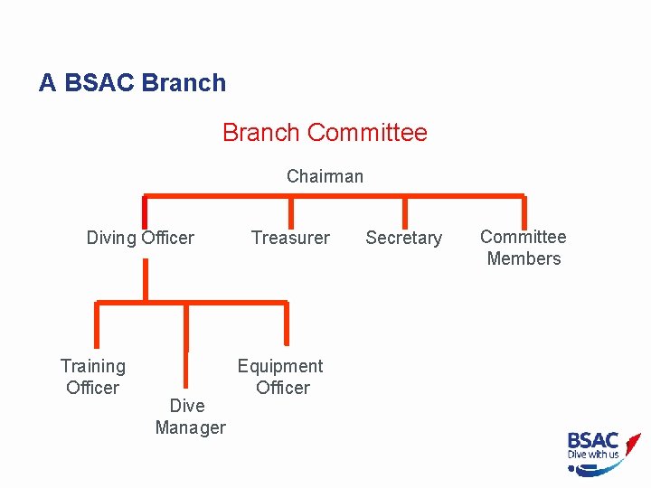 A BSAC Branch Committee Chairman Diving Officer Treasurer Training Officer Dive Manager Equipment Officer