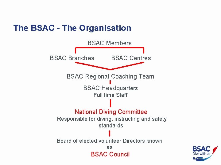 The BSAC - The Organisation BSAC Members BSAC Branches BSAC Centres BSAC Regional Coaching