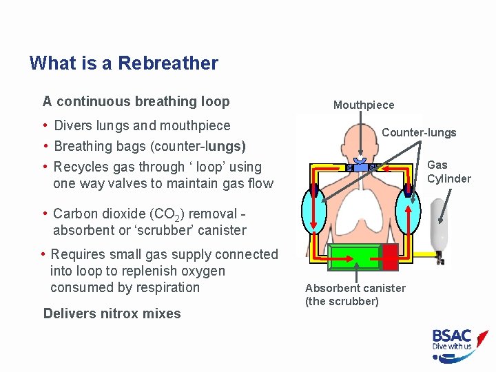 What is a Rebreather A continuous breathing loop • Divers lungs and mouthpiece •