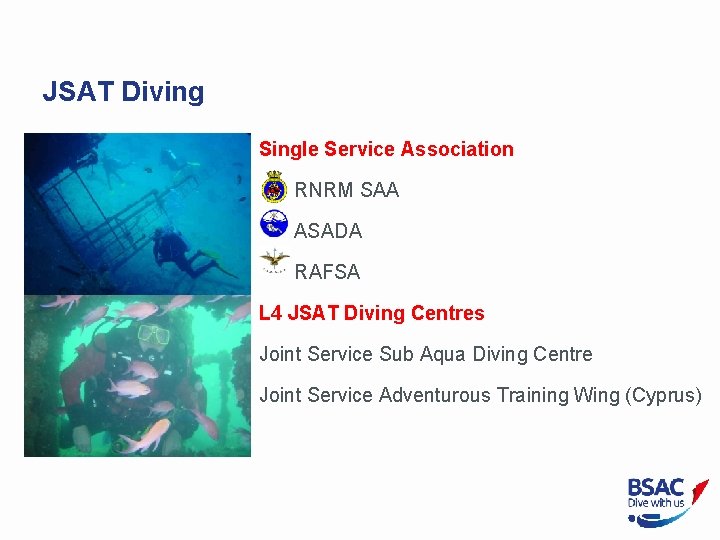 JSAT Diving Single Service Association RNRM SAA ASADA RAFSA L 4 JSAT Diving Centres
