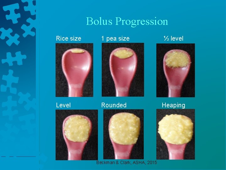 Bolus Progression Rice size 1 pea size ½ level Level Rounded Heaping Beckman &
