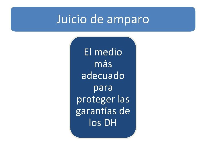 Juicio de amparo El medio más adecuado para proteger las garantías de los DH