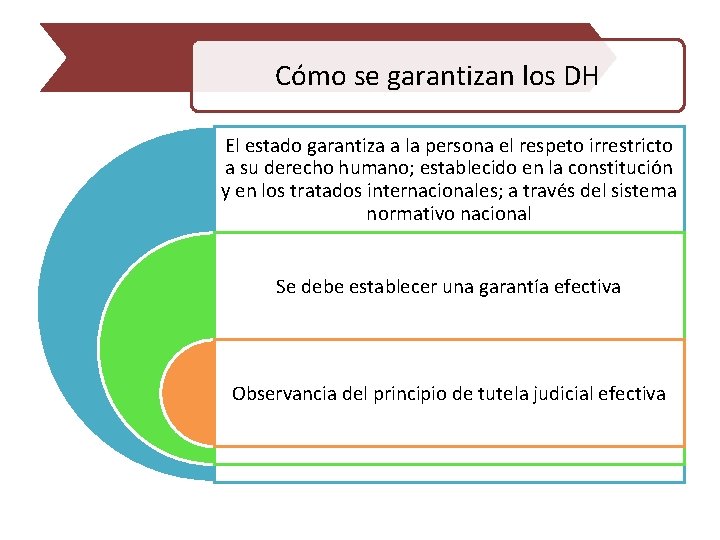 Cómo se garantizan los DH El estado garantiza a la persona el respeto irrestricto