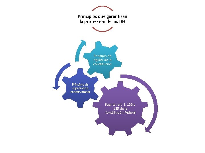 Principios que garantizan la protección de los DH Principio de rigidez de la constitución