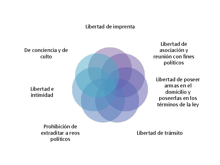 Libertad de imprenta De conciencia y de culto Libertad e intimidad Prohibición de extraditar