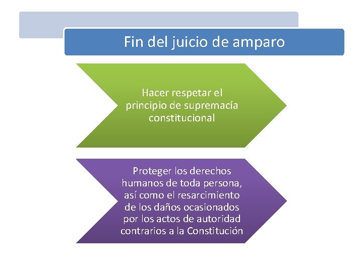 Fin del juicio de amparo Hacer respetar el principio de supremacía constitucional Proteger los