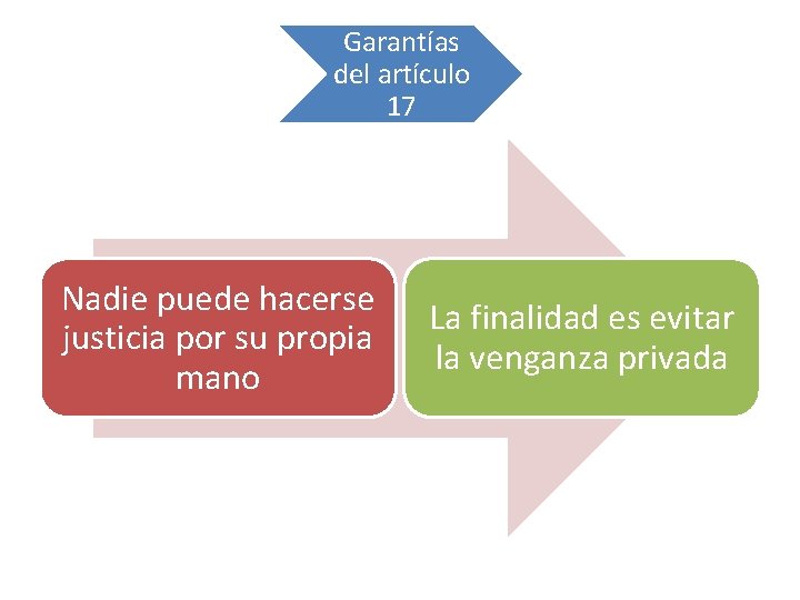 Garantías del artículo 17 Nadie puede hacerse justicia por su propia mano La finalidad