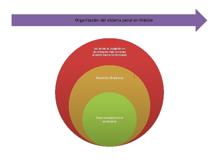 Organización del sistema penal en México Las penas se purgarán en las prisiones más